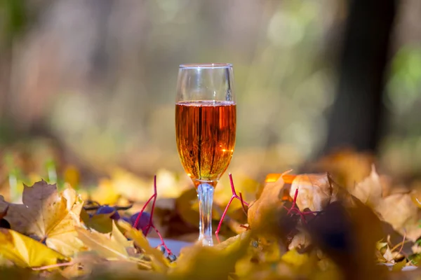 Beyaz Şarap Kadehi Arasında Kırmızı Bir Kuru Yaprakları — Stok fotoğraf