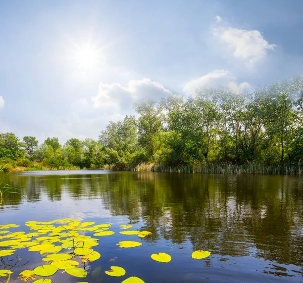 Bella Scena Del Fiume Estivo Piccolo Fiume Tranquillo Sotto Sole — Foto Stock