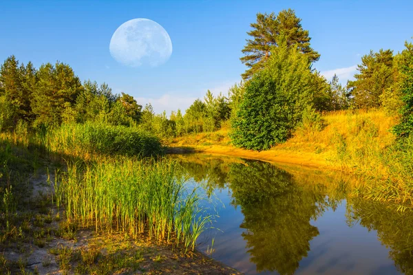 小湖在森林在晚上与巨大的月亮在天空 — 图库照片