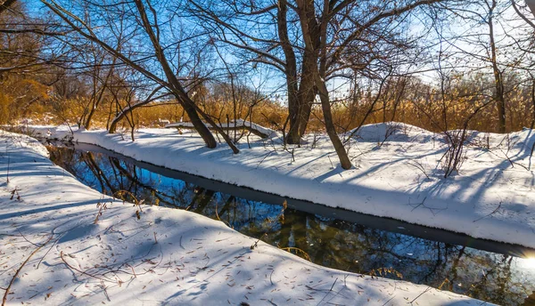 冬の雪の森で小さな川の流れ — ストック写真