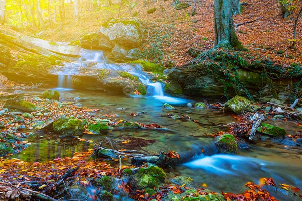 秋の渓谷を小さな小川が流れ — ストック写真