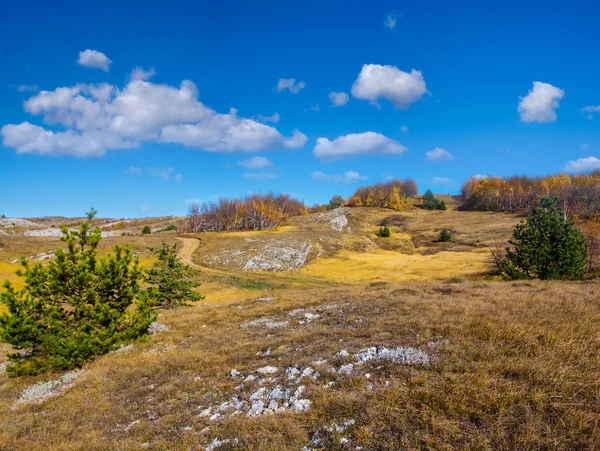 Schöne Sommerliche Berglandschaft — Stockfoto