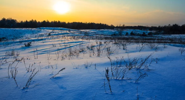 Zimowe Śniegiem Równina Scena Zachodzie Słońca — Zdjęcie stockowe