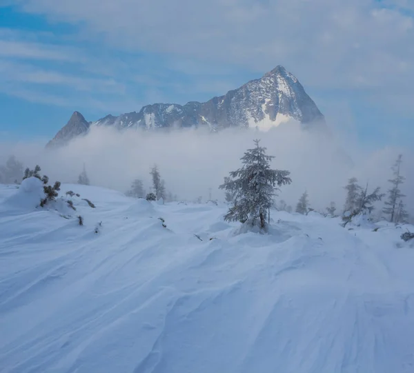 winter scene, snowbound plain and mountain ridge in a snow