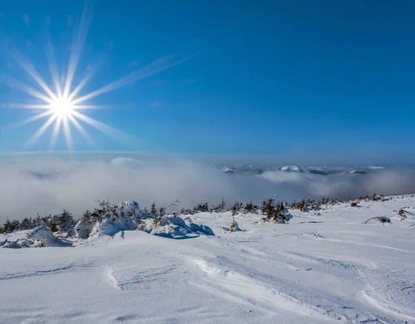 Inverno Pianura Innevata Alla Giornata Sole Scintillante — Foto Stock