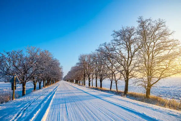 Route Travers Une Forêt Enneigée Hiver Tôt Matin — Photo