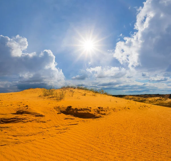 Zomer Zand Woestijn Bij Het Zonnige Dag — Stockfoto
