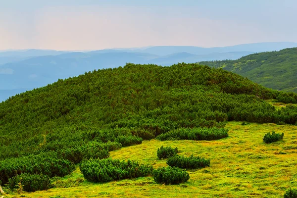 Πράσινο Ορεινό Τοπίο Κοιλάδα — Φωτογραφία Αρχείου