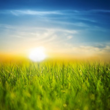 dramatik batımında yeşil kırsal alan