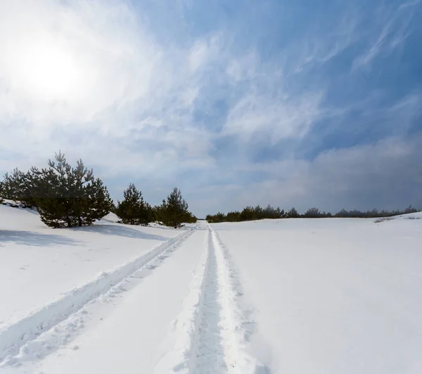 Winter Schneegebundene Ebene Sonnigen Tag — Stockfoto