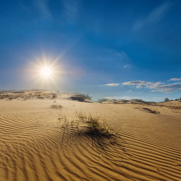 炎热的沙质沙漠在闪闪发光的夏日阳光下 — 图库照片