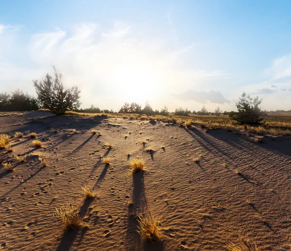 Frumoasa Vara Nisip Preerie Peisaj Apusul Soarelui — Fotografie, imagine de stoc