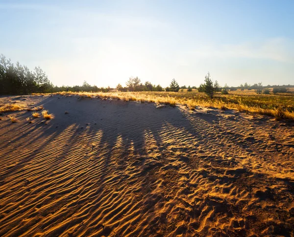 kumlu çayır manzara akşam