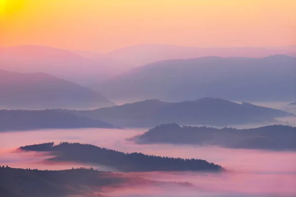 Hermosa Montaña Tranquila Niebla Azul Amanecer — Foto de Stock