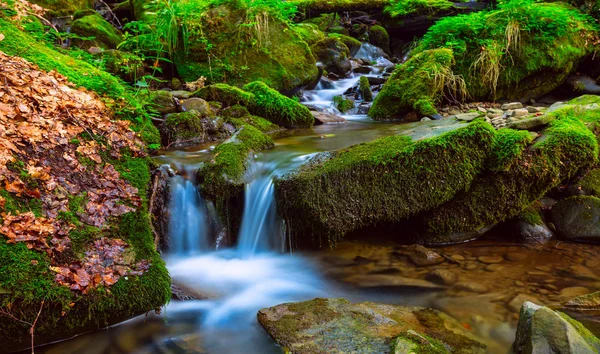 Small Closeup Waterfall Mountain Creek — Stock Photo, Image