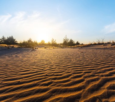 Yaz kumlu çöl dune adlı günbatımı ile