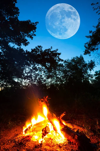 Incêndio Acampamento Turístico Uma Floresta Crepúsculo Lua Acima — Fotografia de Stock