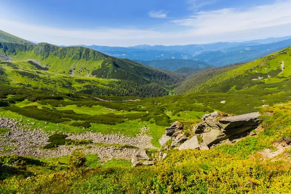 Zelené Horské Údolí Letní Krajina — Stock fotografie