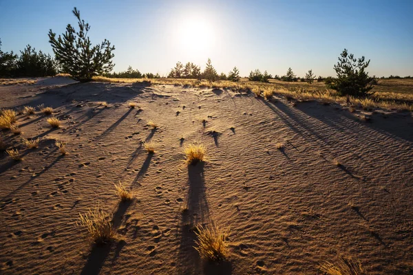 Hete Zomer Zand Woestijn Bij Zonsondergang Natuurlijke Achtergrond — Stockfoto