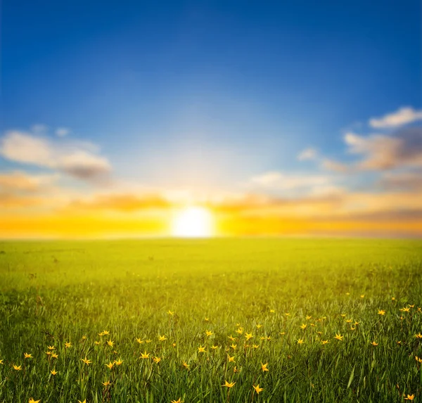 Beautiful Green Prairie Landscape Sunset — Stock Photo, Image