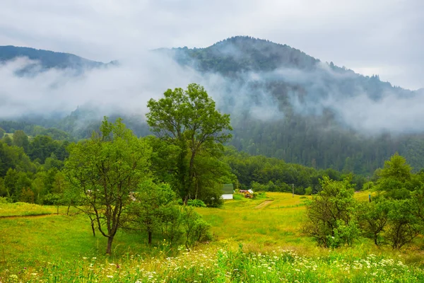 青い霧でマウント上に近い美しい濡れた緑山谷 — ストック写真