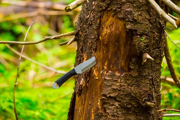 Throwing Knife Punch Tree Log — Stock Photo, Image