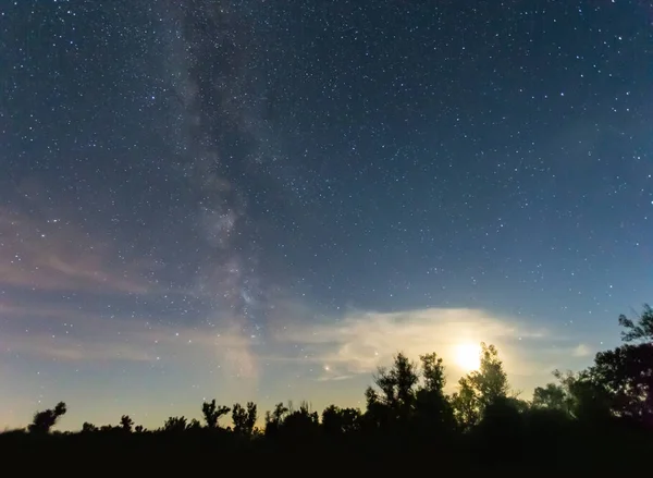 夜の森の風景 木のシルエット 輝く月と夜空に天の川 — ストック写真
