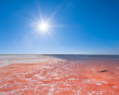 mercan bir ışıltı güneş altında ile ping Tuz Gölü