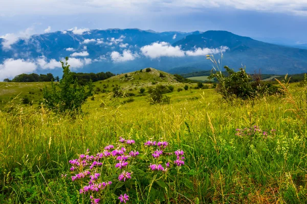 Beautiful Green Mountain Plateau Clouds — Stock Photo, Image