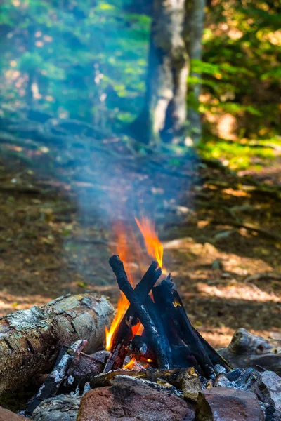 Closeup Kampvuur Een Forest Toeristische Stand Scène — Stockfoto