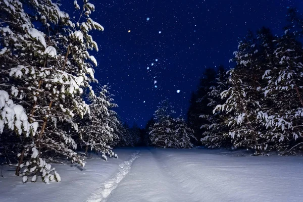 Prachtige Nacht Winters Tafereel Het Sterrenbeeld Van Orion Boven Een — Stockfoto