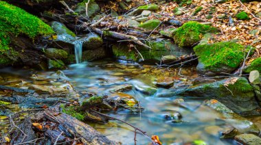 güzel küçük acele dağ nehir sahne