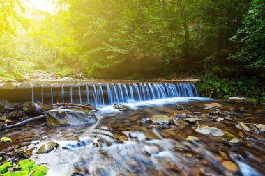 bir orman yoluyla acele küçük mavi nehir
