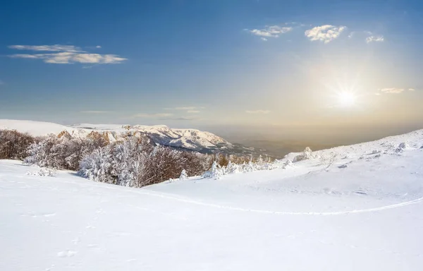 Beau Paysage Plaine Enneigée Hiver Coucher Soleil — Photo