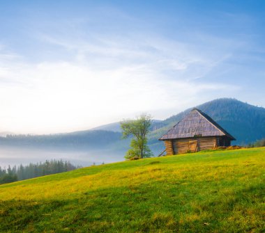 kırsal sahne, sabah erken, yeşil tepelerin arasında küçük ahşap ev