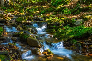 küçük acele dağ nehir sahne