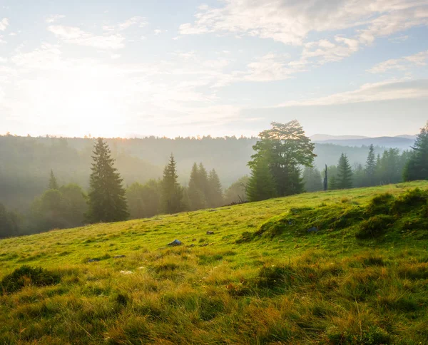 Pente Verte Avec Herbe Coucher Soleil — Photo