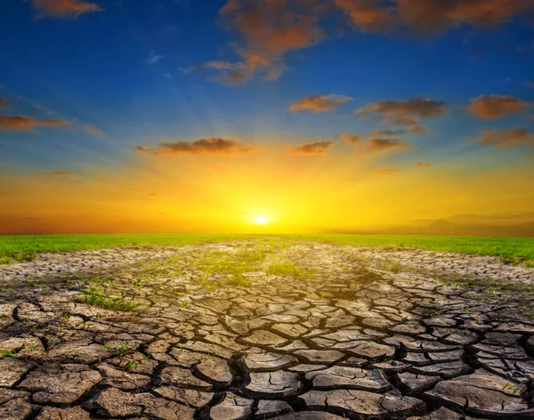 Dry Cracked Earth Landscape Sunset — Stock Photo, Image