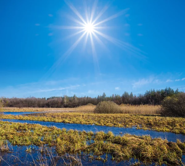 spring flooded field under a sparkle sun