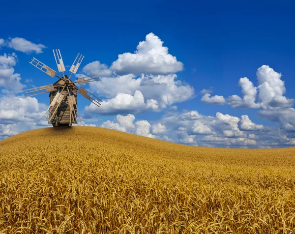 Authentische Historische Hölzerne Windmühle Inmitten Eines Ländlichen Weizenfeldes Unter Glitzernder — Stockfoto