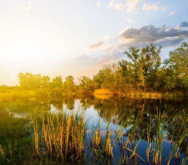 gün batımını River'da sakin yaz