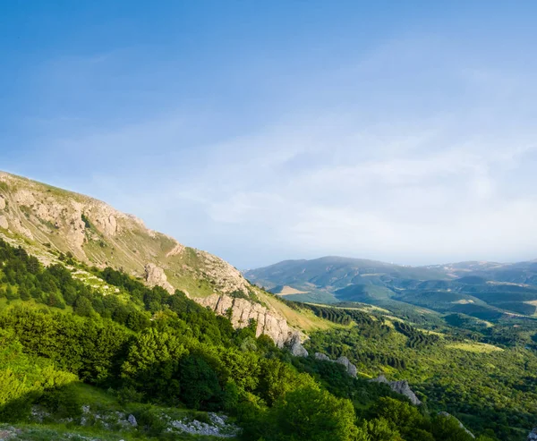 Monte Declive Acima Uma Floresta Verde Paisagem Natural — Fotografia de Stock