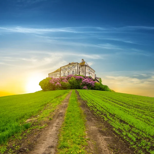 Närbild Gamla Medeltida Slott Toppen Grön Kulle Vid Solnedgången — Stockfoto