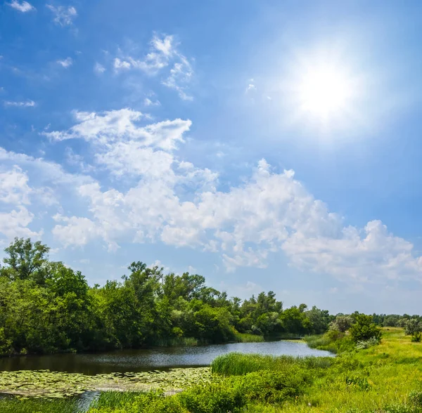 Kleine Rivier Onder Een Prairie Zomer Zonnige Dag — Stockfoto