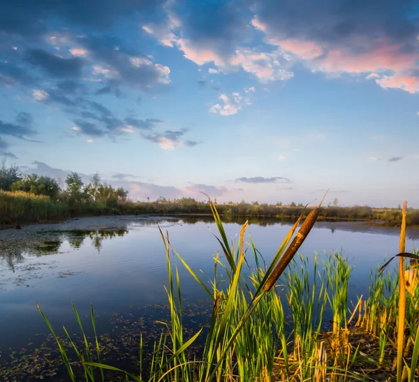 Liten Sommar Sjö Kvällen — Stockfoto