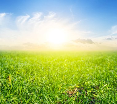 gün batımında güzel yeşil kırsal alan