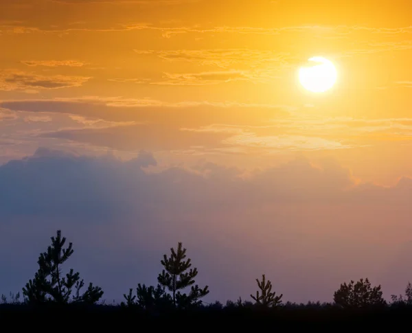 Красивый Закат Над Лесным Силуэтом — стоковое фото
