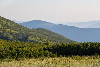 Yeşil dağ Vadisi manzara