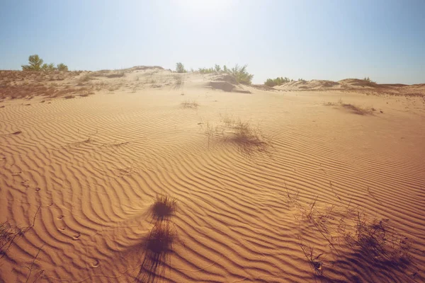 Verano Caliente Desierto Arenoso Bajo Sol Brillante — Foto de Stock