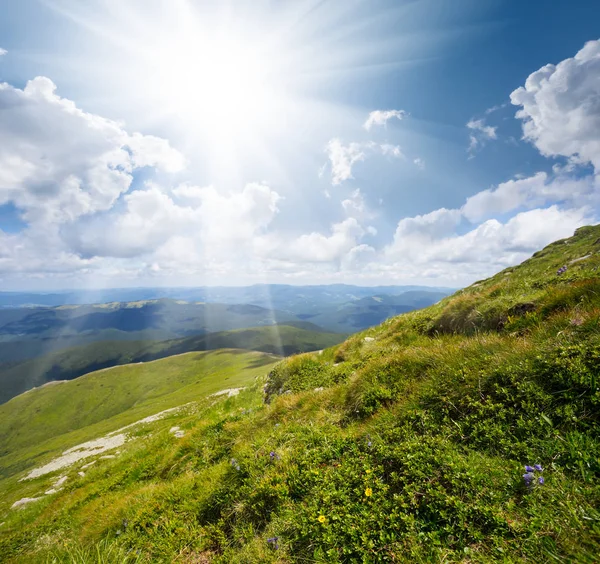 Groene Bergvallei Een Stralen Van Sprankeling Zon — Stockfoto